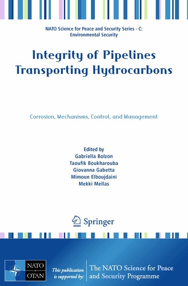 Gabriella Bolzon, Taoufik Boukharouba, Giovanna Gabetta, Mimoun Elboujdaini, Mekki Mellas - Integrity of Pipelines Transporting Hydrocarbons, Häftad
