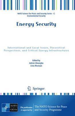 Energy Security 1