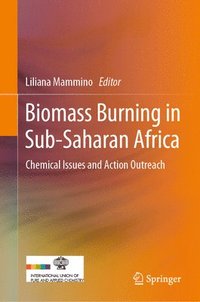 bokomslag Biomass Burning in Sub-Saharan Africa