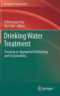 bokomslag Drinking Water Treatment
