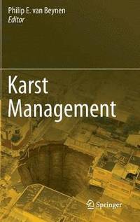 bokomslag Karst Management