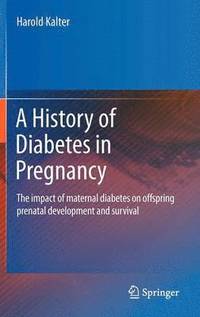 bokomslag A History of Diabetes in Pregnancy