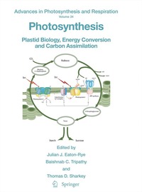 bokomslag Photosynthesis