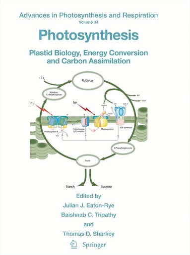 Julian J. Eaton-Rye, Baishnab C. Tripathy, Thomas D. Sharkey - Photosynthesis, Inbunden