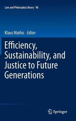 Klaus Mathis - Efficiency, Sustainability, and Justice to Future Generations, Inbunden