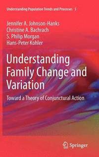 bokomslag Understanding Family Change and Variation