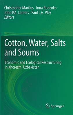 bokomslag Cotton, Water, Salts and Soums