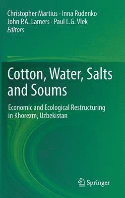 bokomslag Cotton, Water, Salts and Soums