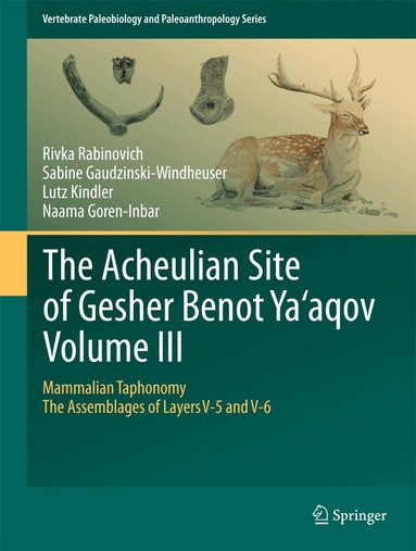 Rivka Rabinovich, Sabine Gaudzinski-Windheuser, Lutz Kindler, Naama Goren-Inbar - Acheulian Site of Gesher Benot Ya‘aqov Volume III, Inbunden