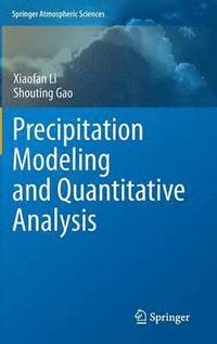 bokomslag Precipitation Modeling and Quantitative Analysis