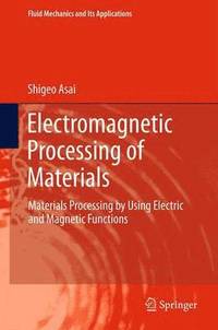 bokomslag Electromagnetic Processing of Materials