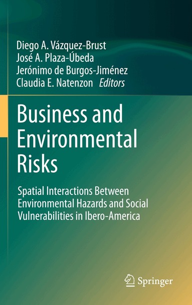 Diego A. Vazquez-Brust, José A. Plaza-Úbeda, Jerónimo de Burgos-Jiménez, Claudia E. Natenzon - Business and Environmental Risks, Inbunden