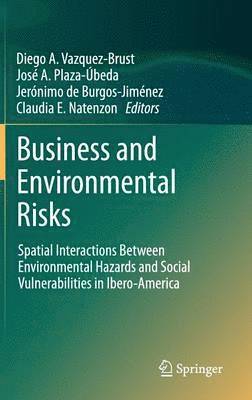 Diego A. Vazquez-Brust, José A. Plaza-Úbeda, Jerónimo de Burgos-Jiménez, Claudia E. Natenzon, José a. Plaza-Úbeda, Diego A. V. Zquez Brust, Jos a. Plaza Beda - Business and Environmental Risks, Inbunden