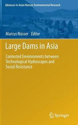 bokomslag Large Dams in Asia