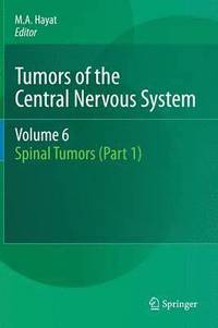 bokomslag Tumors of the Central Nervous System, Volume 6