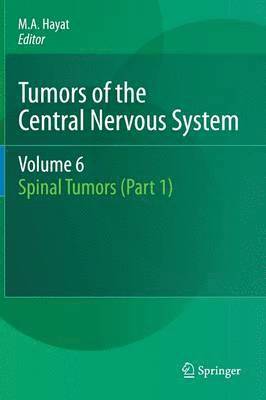 bokomslag Tumors of the Central Nervous System, Volume 6