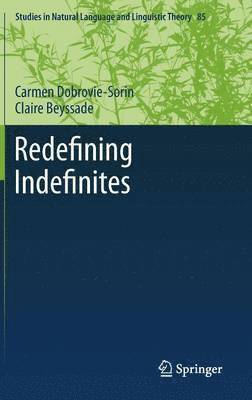 Redefining Indefinites 1