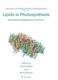 bokomslag Lipids in Photosynthesis