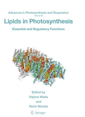 bokomslag Lipids in Photosynthesis