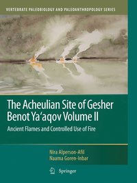 bokomslag The Acheulian Site of Gesher Benot Yaaqov Volume II