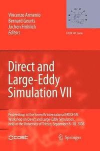 bokomslag Direct and Large-Eddy Simulation VII