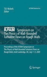 bokomslag IUTAM Symposium on The Physics of Wall-Bounded Turbulent Flows on Rough Walls