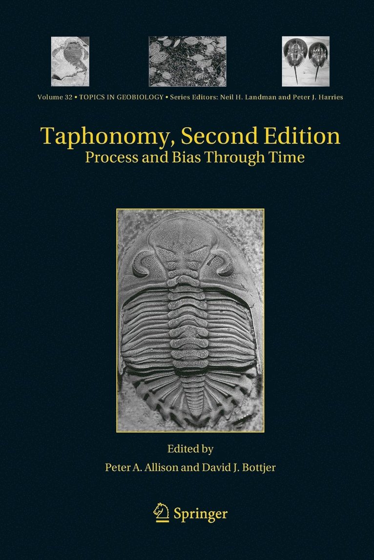 Taphonomy 1