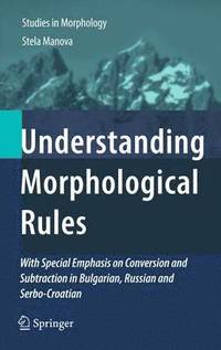 bokomslag Understanding Morphological Rules