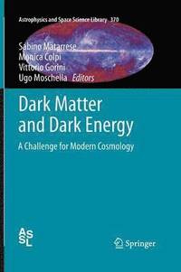 bokomslag Dark Matter and Dark Energy