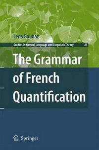 bokomslag The Grammar of French Quantification