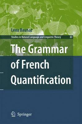 bokomslag Grammar of French Quantification