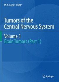 bokomslag Tumors of the Central Nervous system, Volume 3