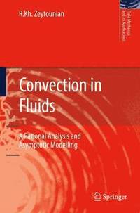 bokomslag Convection in Fluids