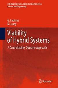 bokomslag Viability of Hybrid Systems