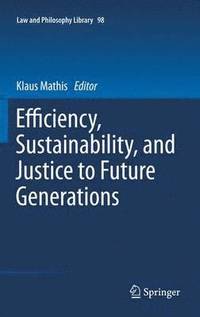 bokomslag Efficiency, Sustainability, and Justice to Future Generations