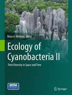 bokomslag Ecology of Cyanobacteria II