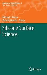 bokomslag Silicone Surface Science