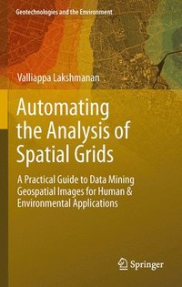 bokomslag Automating the Analysis of Spatial Grids