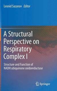 bokomslag A Structural Perspective on Respiratory Complex I