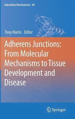 bokomslag Adherens Junctions: from Molecular Mechanisms to Tissue Development and Disease