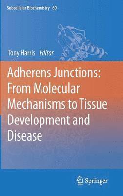 Adherens Junctions: from Molecular Mechanisms to Tissue Development and Disease 1