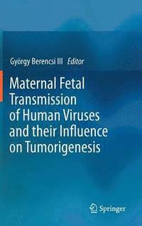 bokomslag Maternal Fetal Transmission of Human Viruses and their Influence on Tumorigenesis