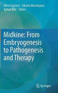 bokomslag Midkine: From Embryogenesis to Pathogenesis and Therapy