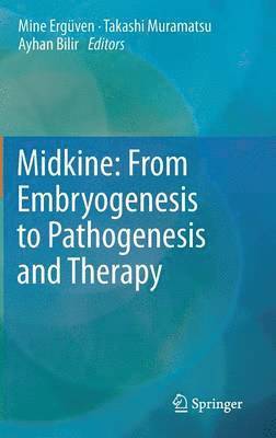 bokomslag Midkine: From Embryogenesis to Pathogenesis and Therapy