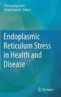 bokomslag Endoplasmic Reticulum Stress in Health and Disease
