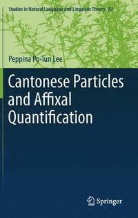 bokomslag Cantonese Particles and Affixal Quantification