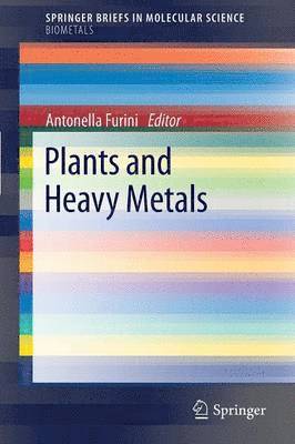 Antonella Furini - Plants and Heavy Metals, Häftad