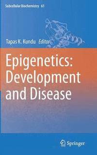 bokomslag Epigenetics: Development and Disease