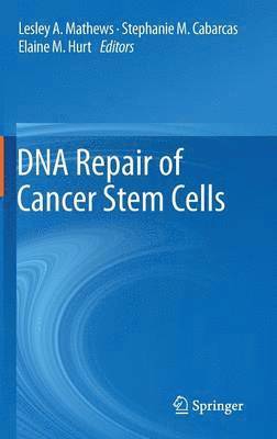 bokomslag DNA Repair of Cancer Stem Cells