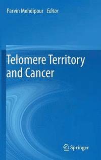 bokomslag Telomere Territory and Cancer
